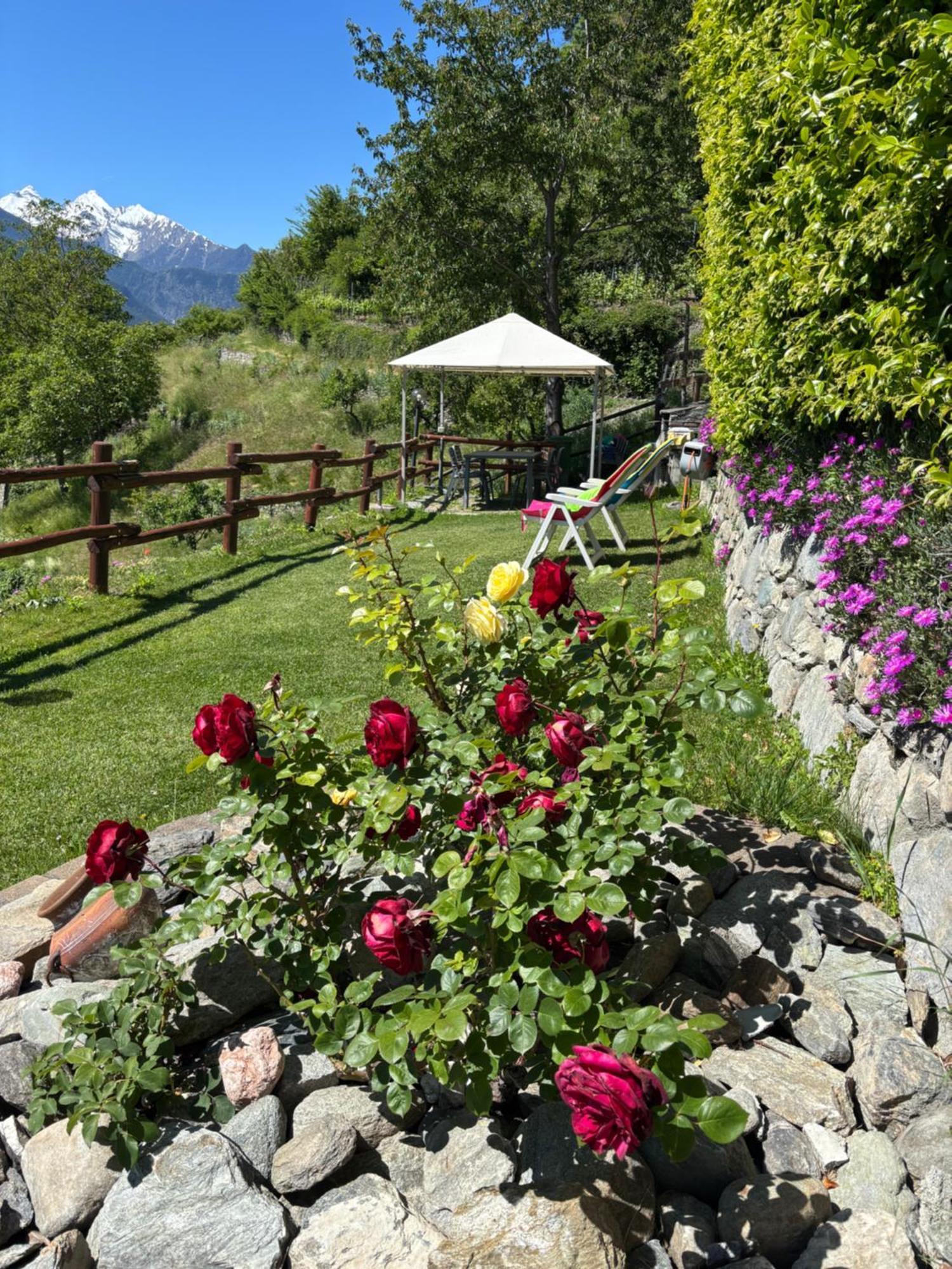 Appartamento La Maison Des Amis